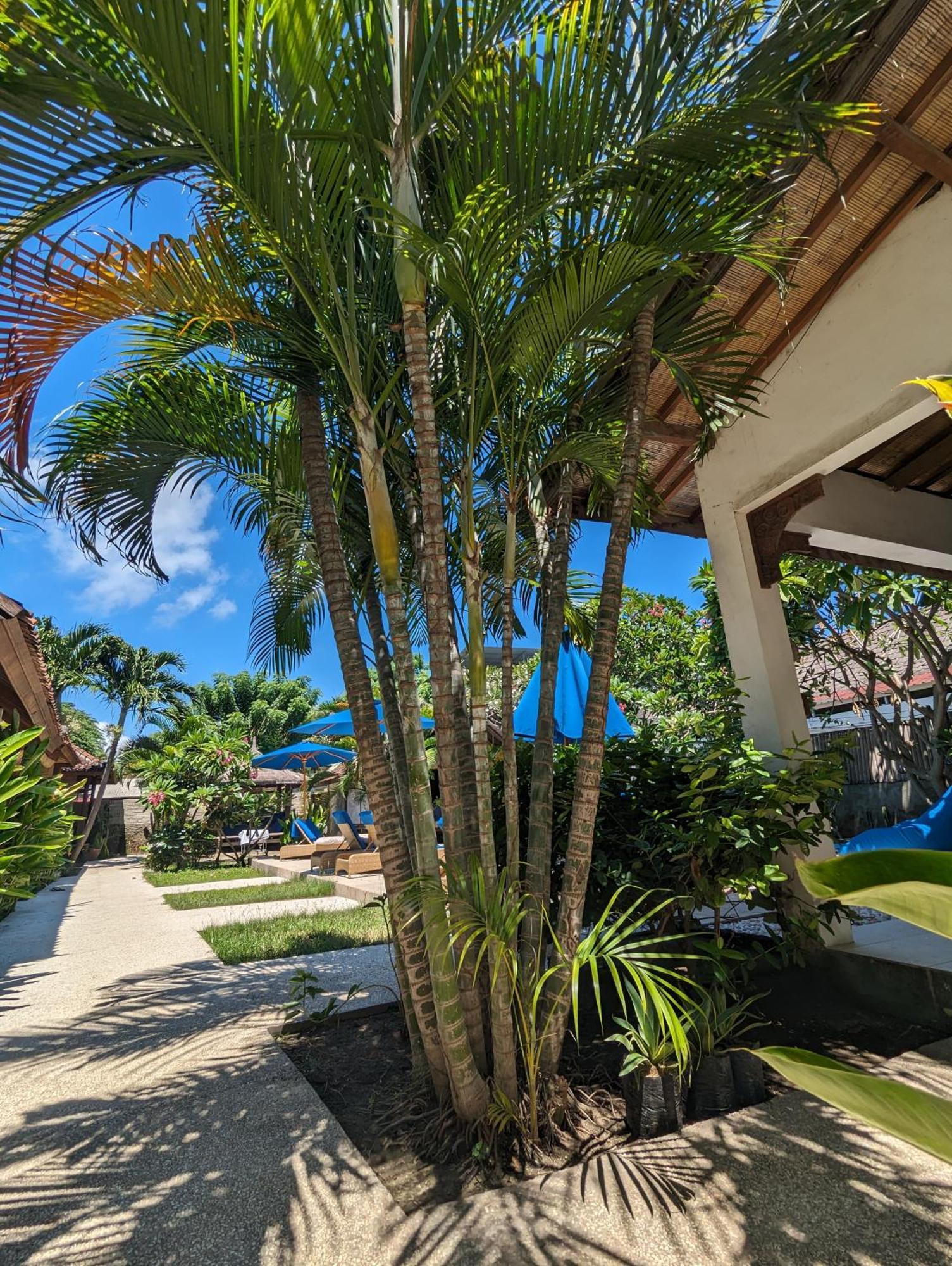 Indigo Bungalows Gili Trawangan Zewnętrze zdjęcie