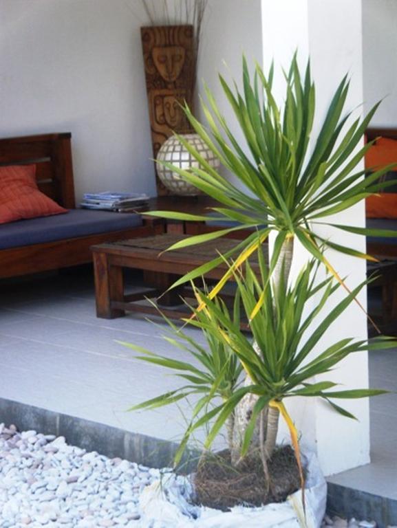 Indigo Bungalows Gili Trawangan Zewnętrze zdjęcie